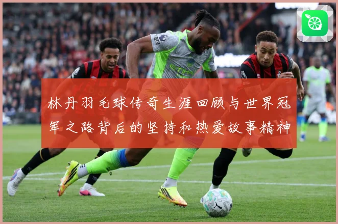 林丹羽毛球传奇生涯回顾与世界冠军之路背后的坚持和热爱故事精神：最新赛事动态与深度分析